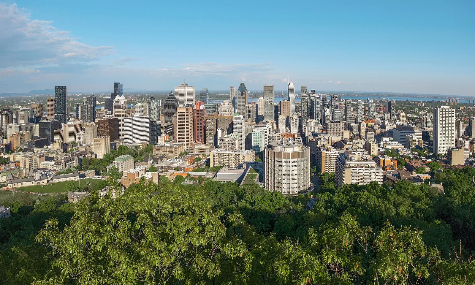 Downtown Montreal skyline with city buildings and hills beyond
